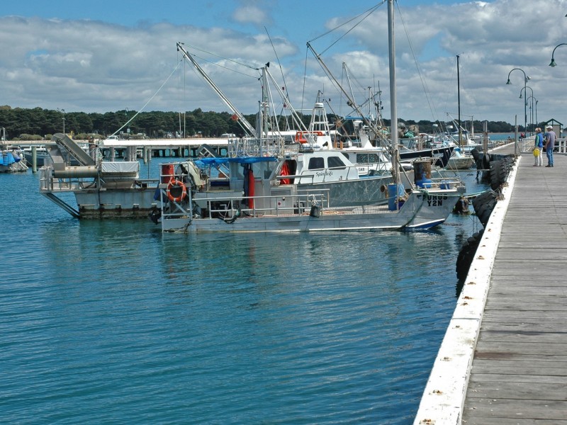 10 Pasadena Drive, Portarlington VIC 3223