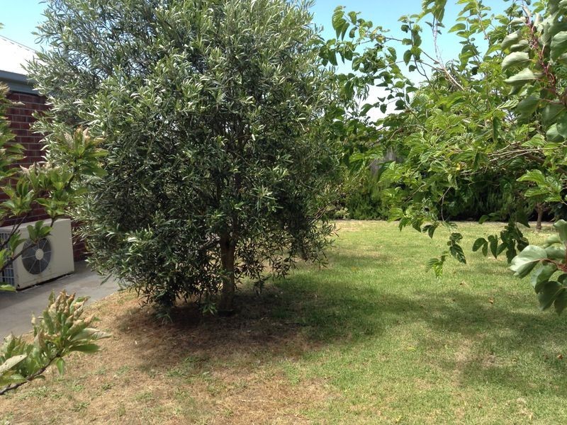 23 Two Bays Drive, St Leonards VIC 3223