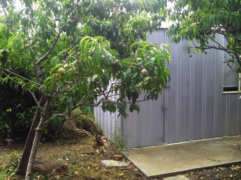 1/1253 Murradoc Road, St Leonards VIC 3223