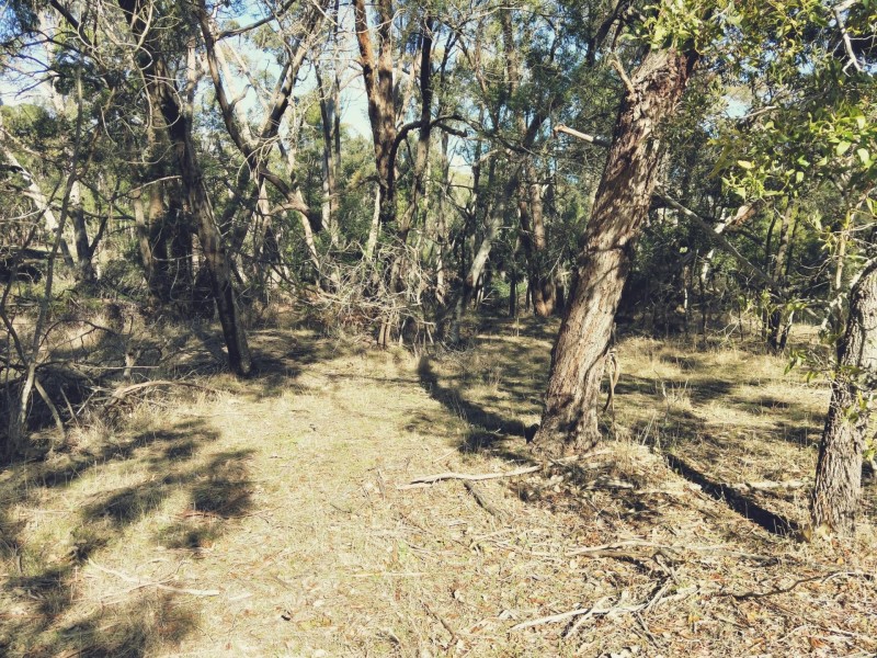 36 Hewitts Road, Linton VIC 3360