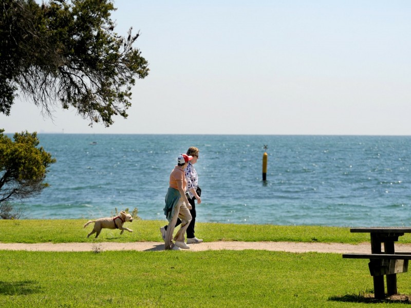 41 Jeffrey Street, Indented Head VIC 3223