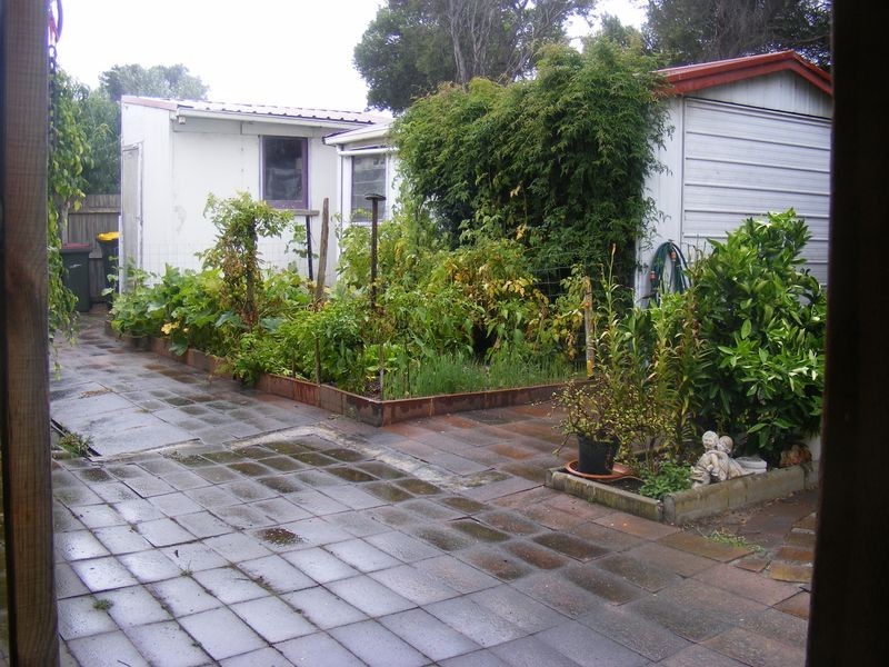 63 Harvey Road, St Leonards VIC 3223