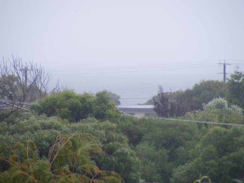 63 Harvey Road, St Leonards VIC 3223