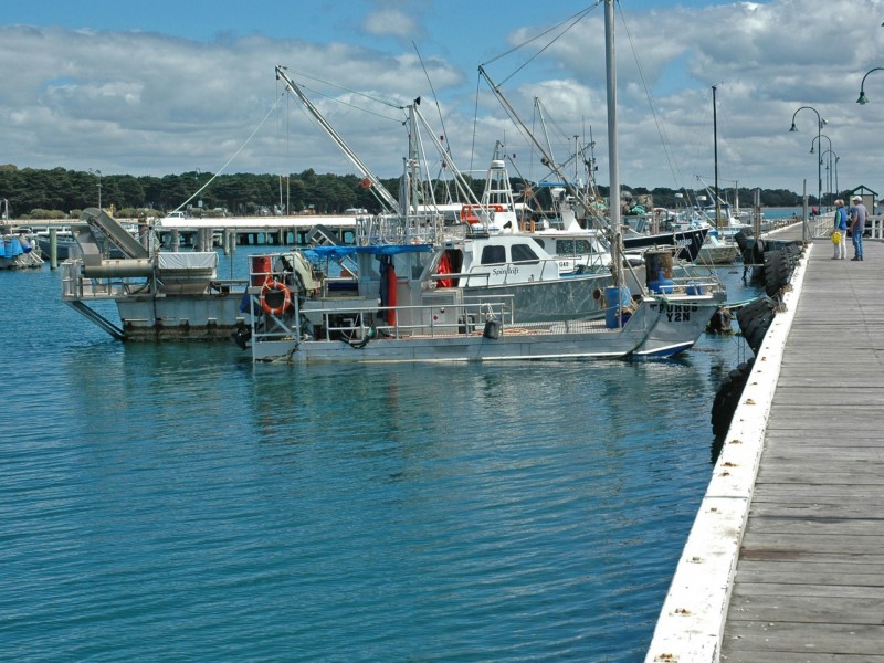 5 Granada Drive, Portarlington VIC 3223