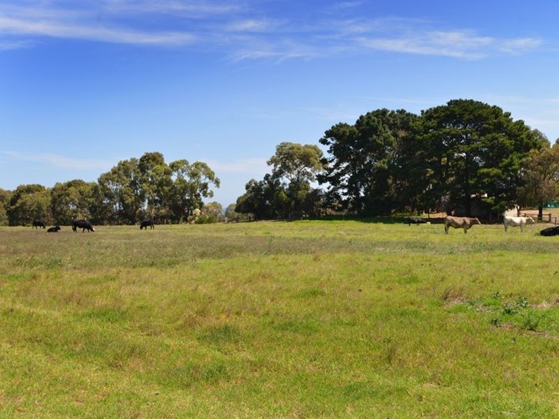 100 Pearl Bay Passage, St Leonards VIC 3223