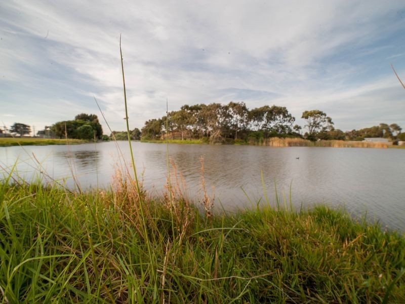 10/53 Blanche Street, St Leonards VIC 3223