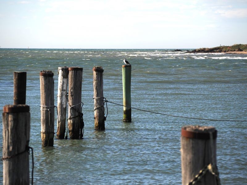 54 Hereford Street, Portarlington VIC 3223