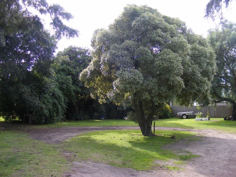 3/11-13 Cairnes Street, Indented Head VIC 3223