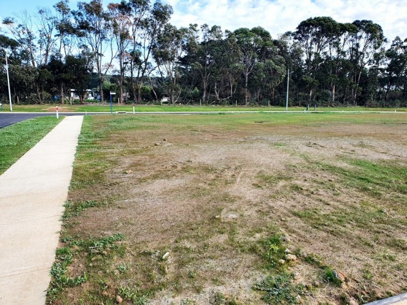 39 Kane Drive, St Leonards VIC 3223