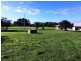 Unit 4/90-110 Smythe Street, Portarlington VIC 3223