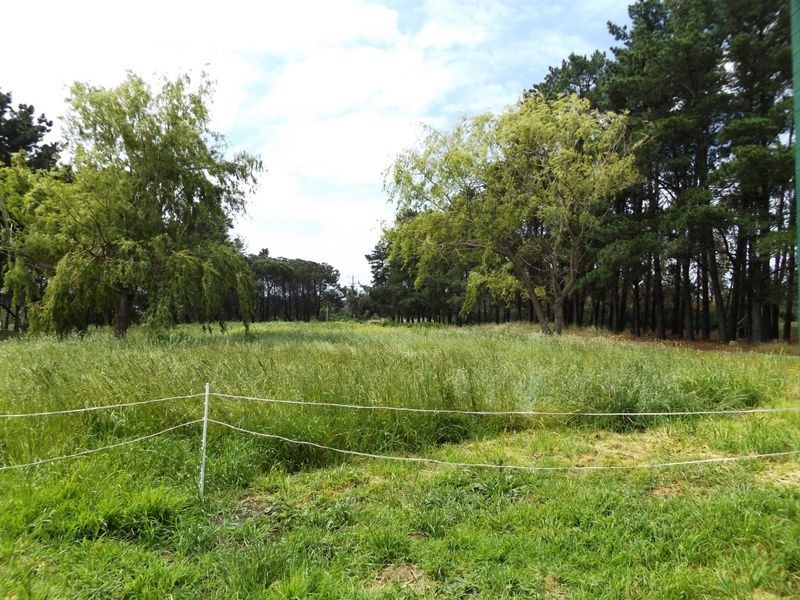 1/460 Ibbotson Street, St Leonards VIC 3223