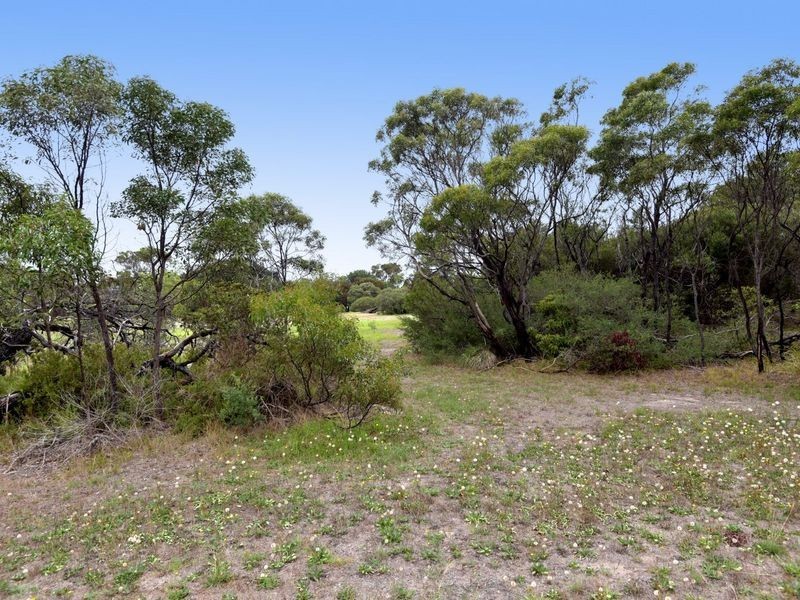 4 Charles Court, St Leonards VIC 3223