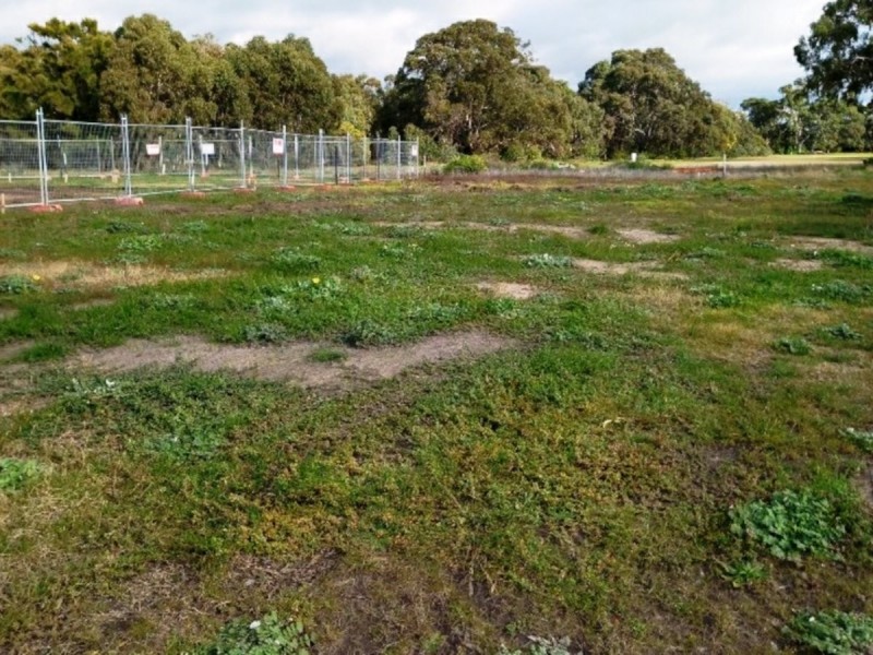 43 Gamble Way, St Leonards VIC 3223