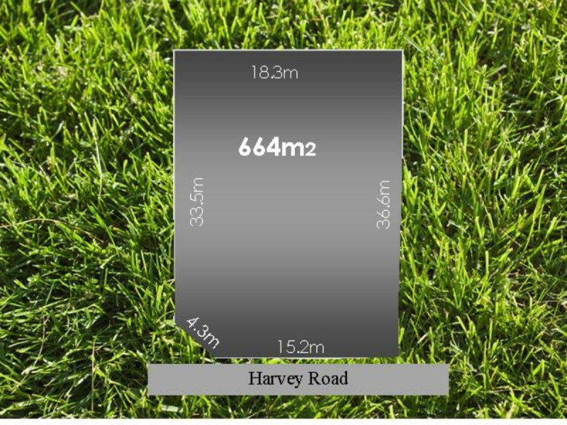 66 Harvey Road, St Leonards VIC 3223