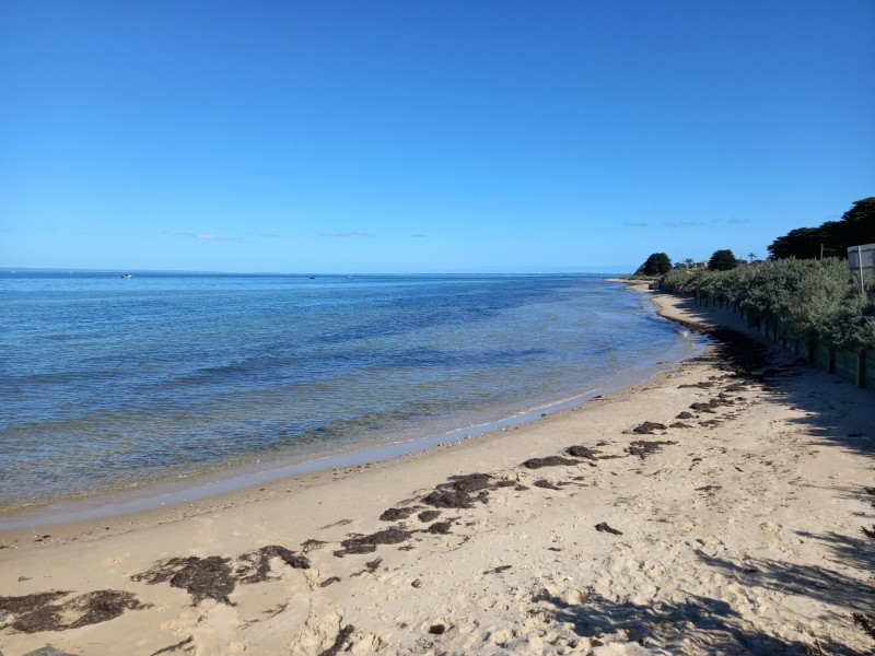 66 Harvey Road, St Leonards VIC 3223