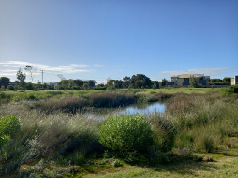 13 Swain Walk, St Leonards VIC 3223