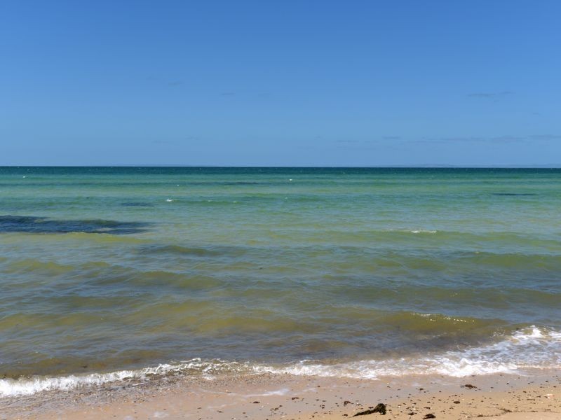 446 The Esplanade, St Leonards VIC 3223