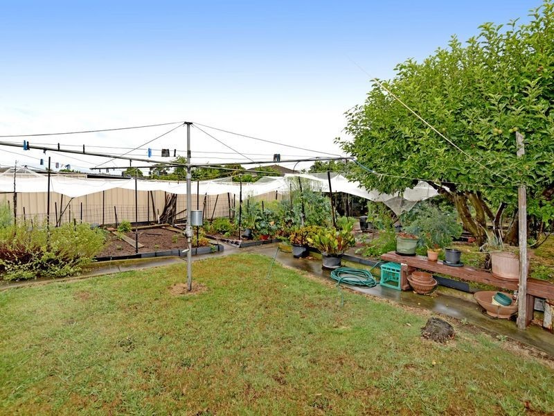 6 Horne Avenue, St Leonards VIC 3223