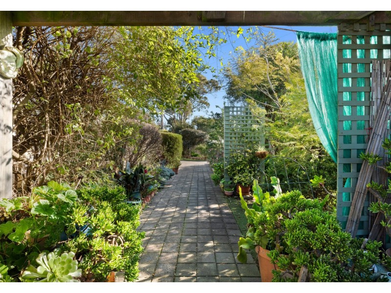 24 Doongara Avenue, St Leonards VIC 3223