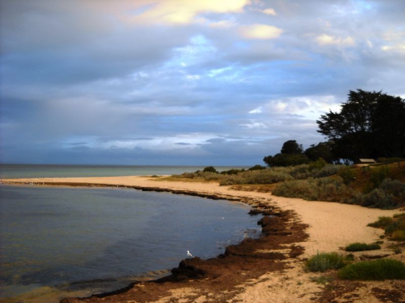 1141-1149 Murradoc Road, St Leonards VIC 3223