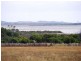 20/ Swan View Estate – 172-179 Bluff Road, St Leonards VIC 3223