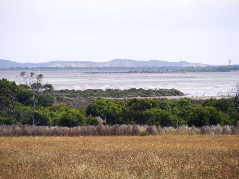 21/ Swan View Estate – 172-179 Bluff Road, St Leonards VIC 3223