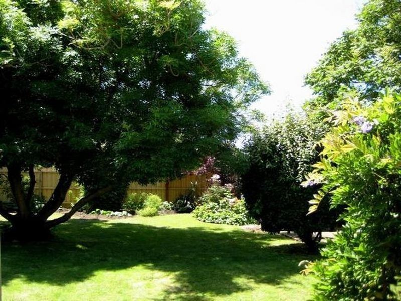 12 Gilbert Street, St Leonards VIC 3223