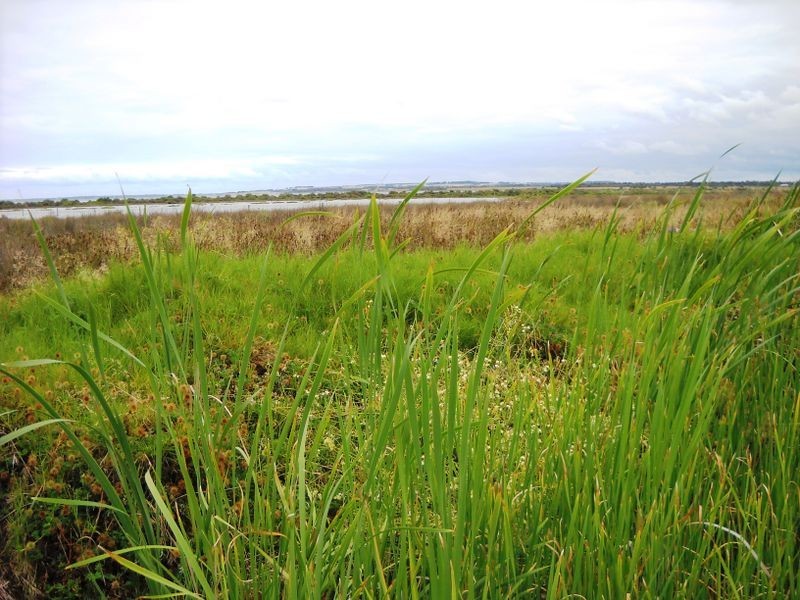 52/ Swan View Estate – 172-179 Bluff Road, St Leonards VIC 3223