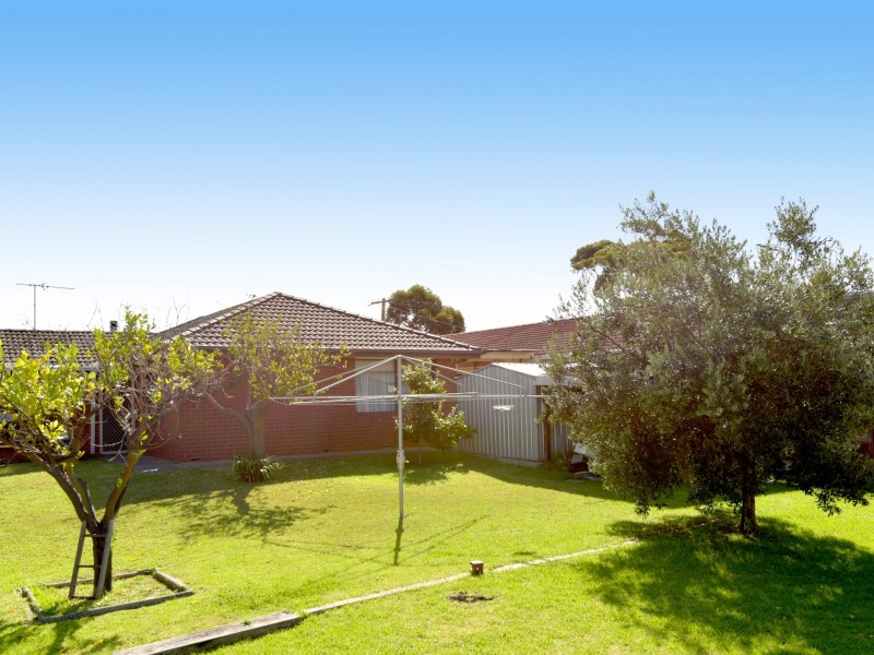 11 Trilby Avenue, St Leonards VIC 3223