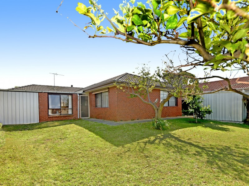11 Trilby Avenue, St Leonards VIC 3223