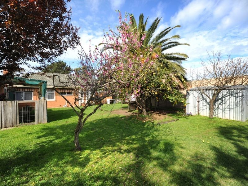 28 Wattletree Avenue, St Leonards VIC 3223