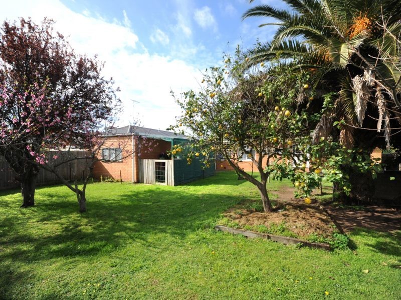 28 Wattletree Avenue, St Leonards VIC 3223