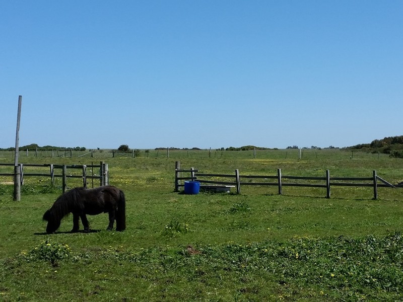 452-480 Ibbotson Street, St Leonards VIC 3223