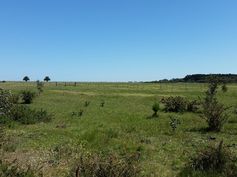 452-480 Ibbotson Street, St Leonards VIC 3223