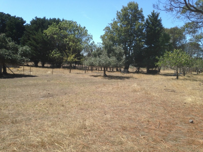 1141 – 114 Murradoc Road, St Leonards VIC 3223