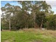 459 Greggs Road, Kurrajong NSW 2758