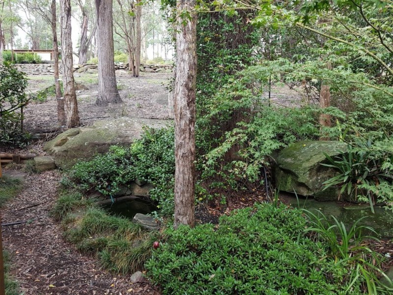 66 Kentucky Drive, Glossodia NSW 2756