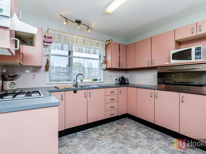 46 McKellar Crescent, South Windsor NSW 2756