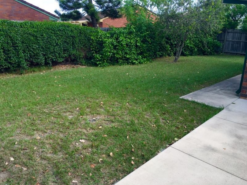 2/14 Snipe Street, Miami QLD 4220