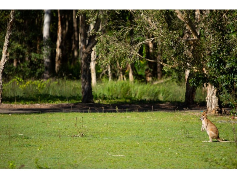 Lot 61/9 Wallaby Way, South Stradbroke QLD 4216