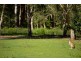 Lot 61/9 Wallaby Way, South Stradbroke QLD 4216