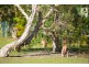 Lot 61/9 Wallaby Way, South Stradbroke QLD 4216