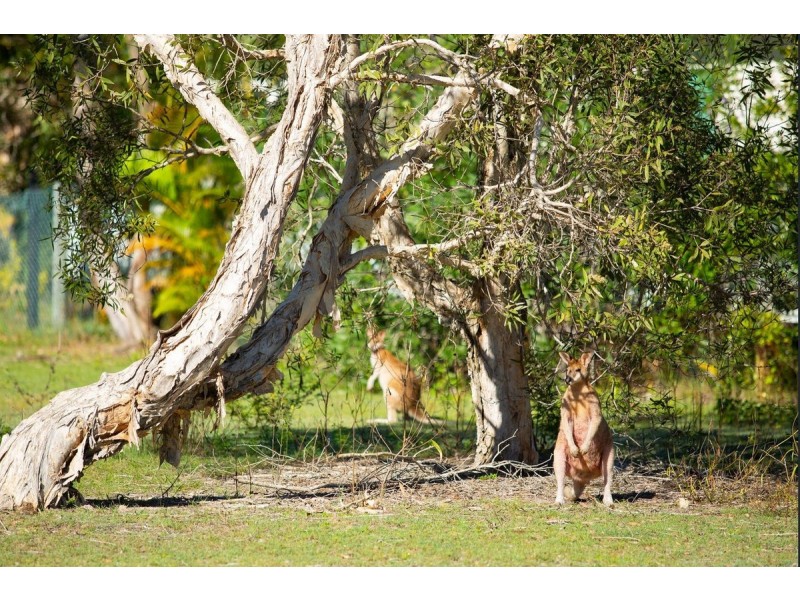 Lot 61/9 Wallaby Way, South Stradbroke QLD 4216