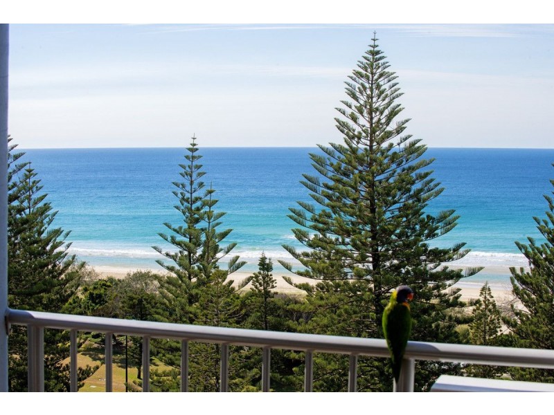 36/155 Old Burleigh Road, Broadbeach QLD 4218