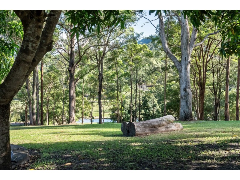 587 Guanaba Creek Road, Guanaba QLD 4210