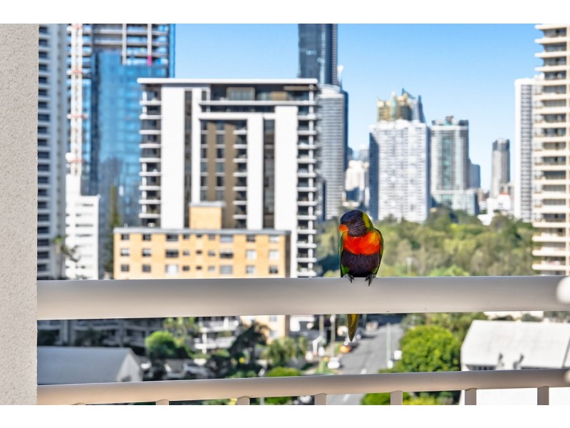 1001/46-52 Pacific Street, Main Beach QLD 4217