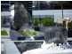 Broadbeach QLD 4218