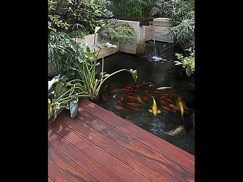 11 Holland Court, Broadbeach Waters QLD 4218