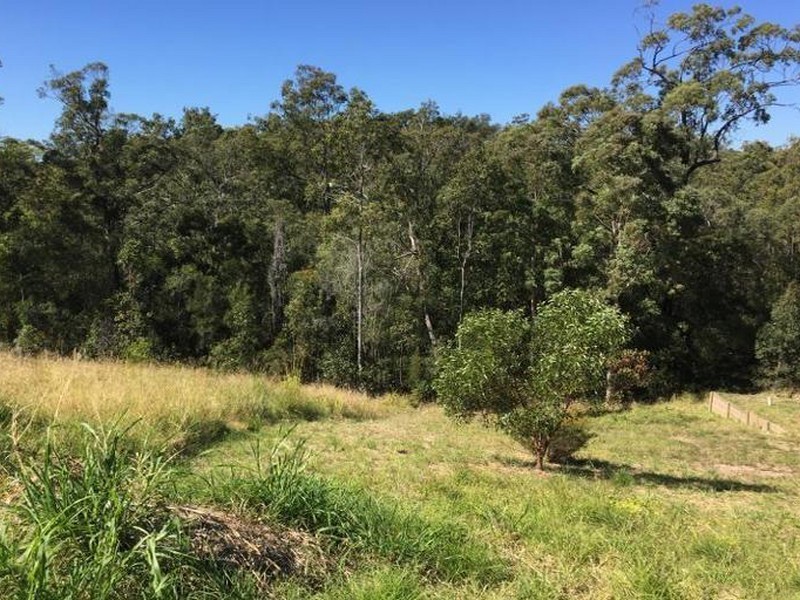 48 Panorama Drive, Reedy Creek QLD 4227