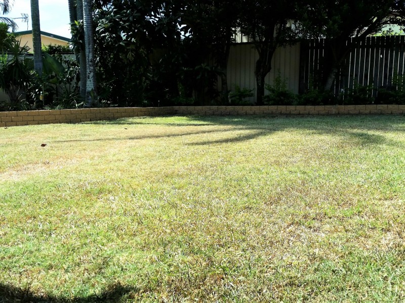 33 Shirley Street, Southport QLD 4215